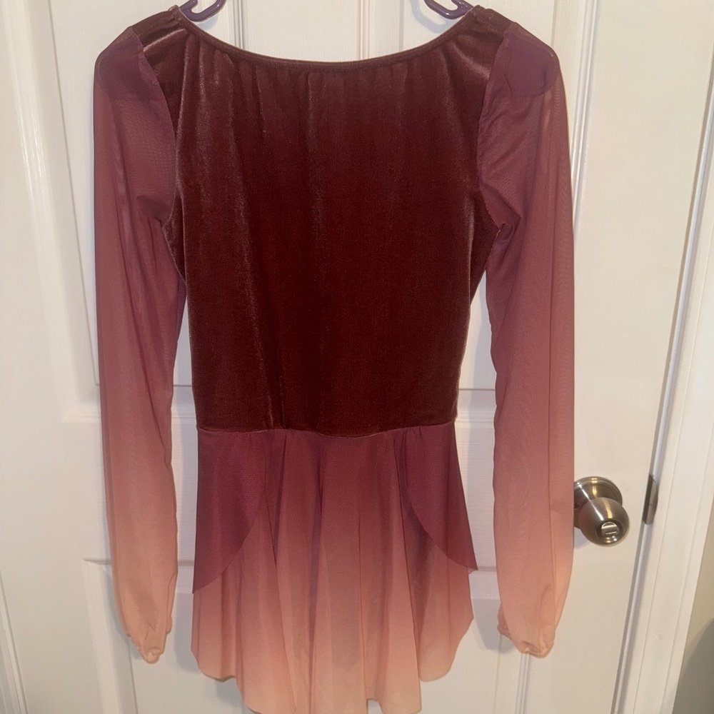 Pink Ombré Costume